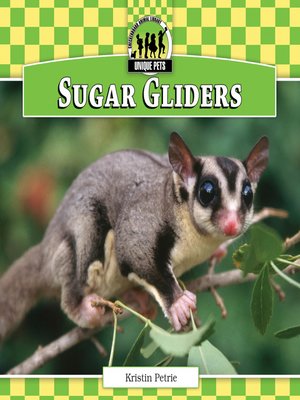 cover image of Sugar Gliders